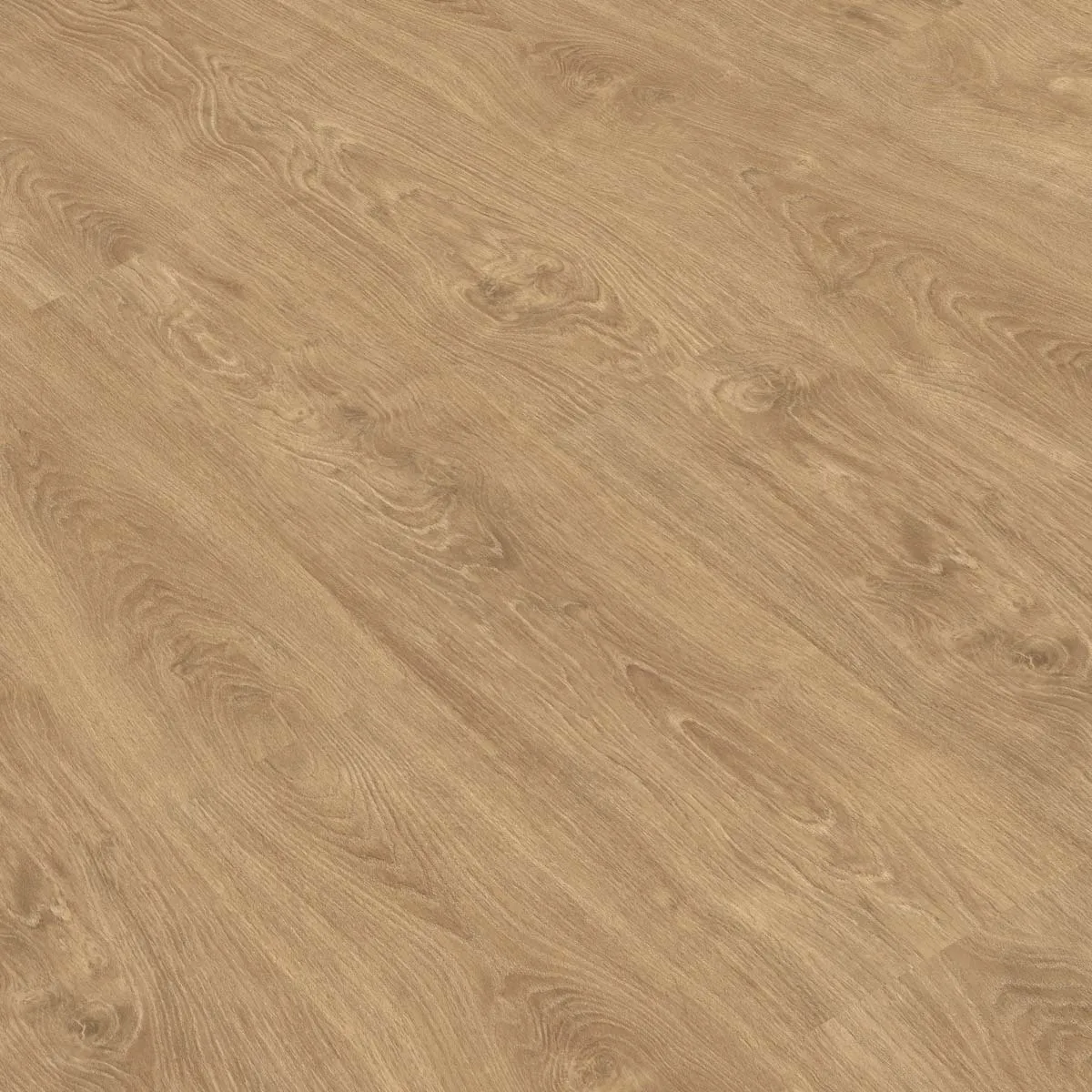 suelo laminado gold laminate pro800real Gold Laminate Gold Laminate Pro800Real Roble Calma