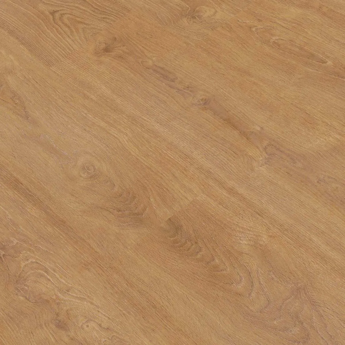 suelo laminado gold laminate pro800real Gold Laminate Gold Laminate Pro800Real Roble Origen